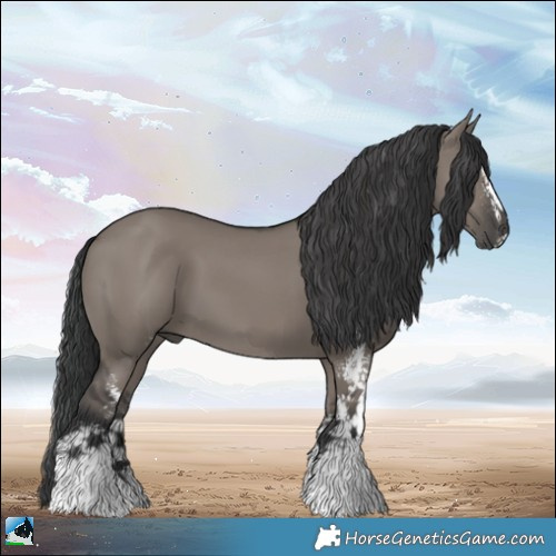 Horse Color:Grullo Sabino 