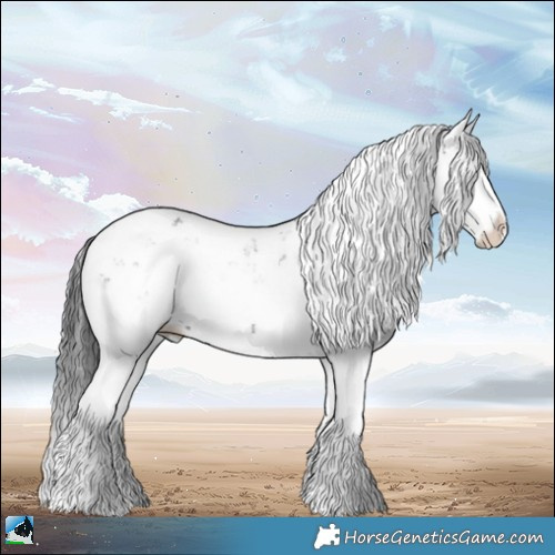 Horse Color:Grullo Mushroom Sabino Splash 