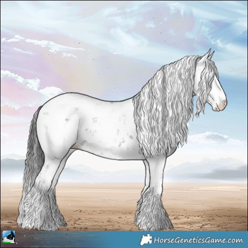 Horse Color:Grullo Sabino 