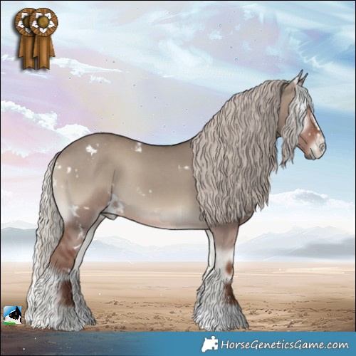 Horse Color:White Spotted Silver Grullo Onyx Sabino 