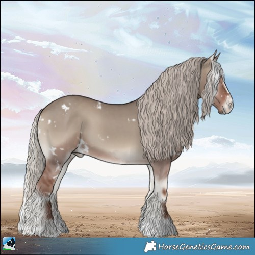 Horse Color:White Spotted Silver Grullo Onyx Sabino 