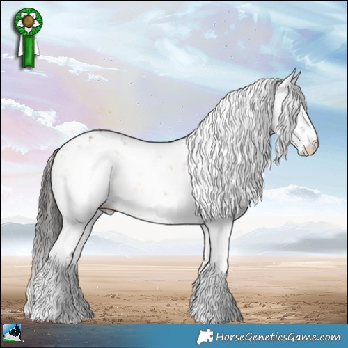 Horse Color:Brown Onyx Sabino Rabicano 
