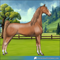 Horse Color:Chestnut 