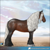 Horse Color:Liver Chestnut Mushroom