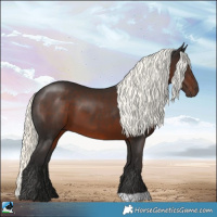 Horse Color:Liver Chestnut Mushroom 