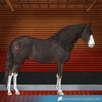 Horse Color:White Spotted Liver Chestnut 