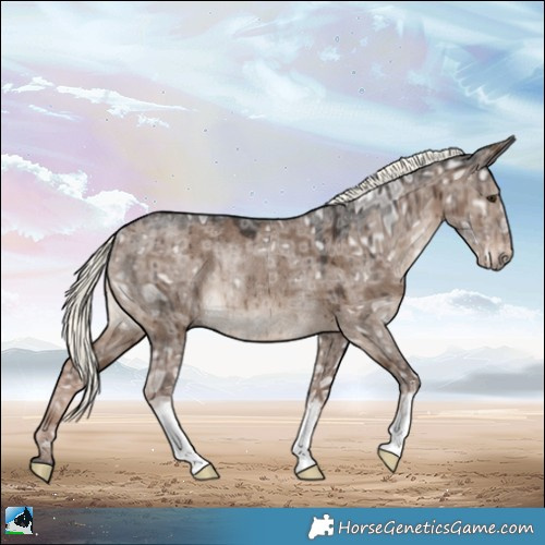 Horse Color:Liver Red Dun Ice Mushroom Rabicano Brindle 