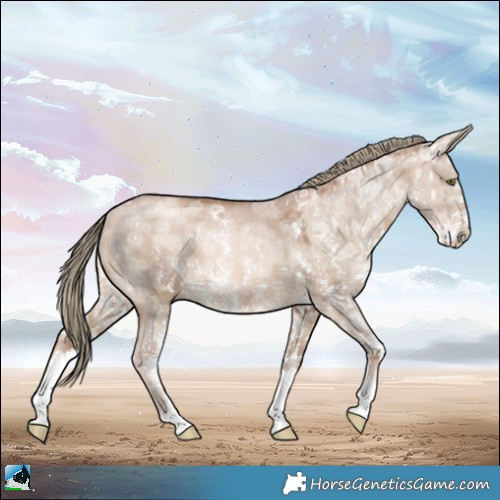 Horse Color:Liver Red Dun Ice Pearl Mushroom Sabino Rabicano