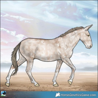 Horse Color:Liver Red Dun Ice Pearl Mushroom Sabino Rabicano