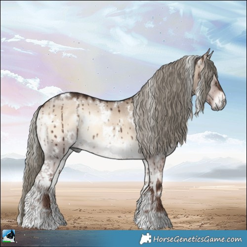 Horse Color:White Spotted Liver Red Dun Onyx Mushroom Brindle 