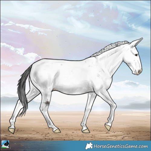 Horse Color:Brown Ice Dun Mushroom Sabino Rabicano 