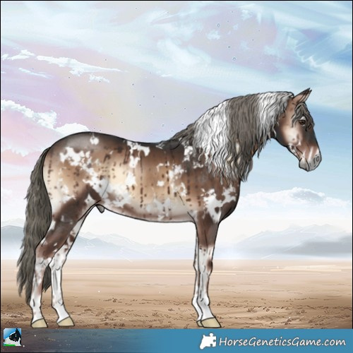 Horse Color:White Spotted Liver Red Onyx Mushroom 