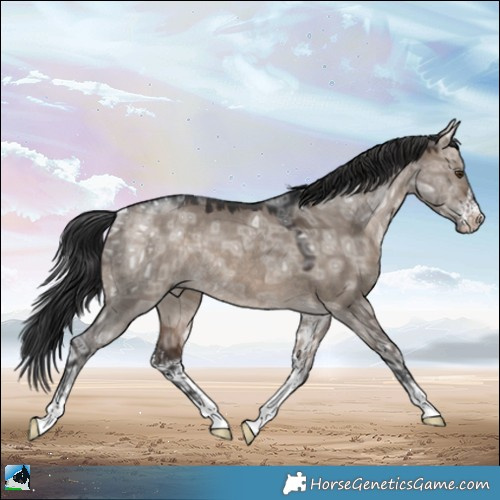 Horse Color:Brown Ice Dun Mushroom Sabino Rabicano 