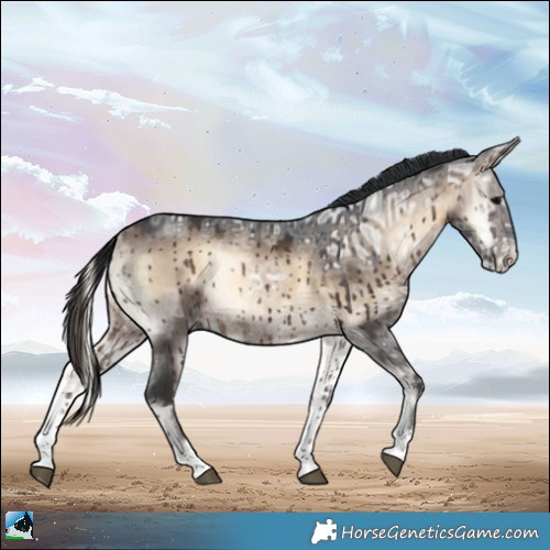 Horse Color:Brown Ice Onyx Mushroom Sabino Rabicano Brindle 