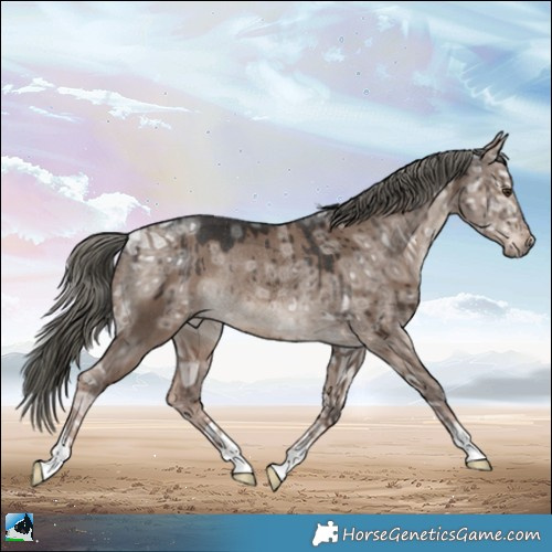 Horse Color:Liver Red Dun Ice Mushroom Rabicano Brindle 