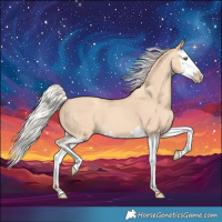 Horse Color:Silver Amber Champagne Dun Splash 