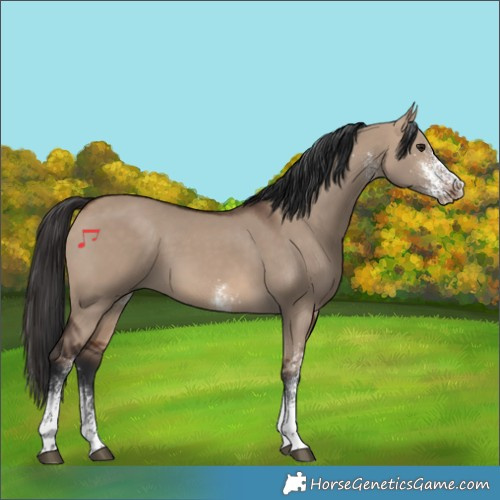 Horse Color:White Spotted Brown Dun Rabicano 