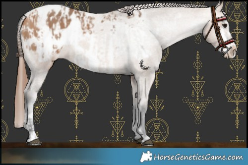 Horse Color:Bay Dun Frame Blanket  and Bay Dun Frame Blanket 