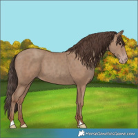 Horse Color:Classic Champagne 