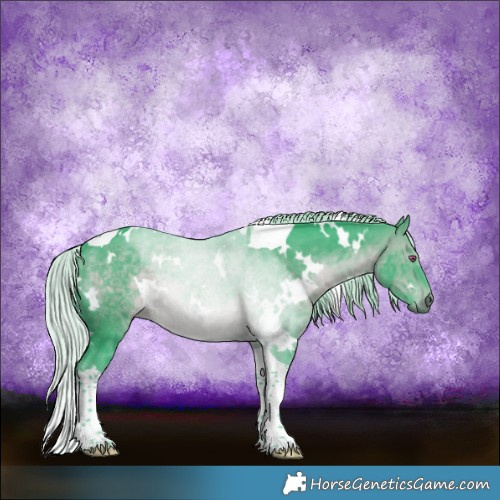 Horse Color:Watercolor White Spotted Silver Brown Chinchilla Tobiano Rabicano 