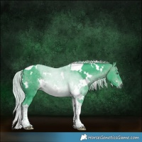 Horse Color:Watercolor White Spotted Silver Brown Chinchilla Tobiano Rabicano