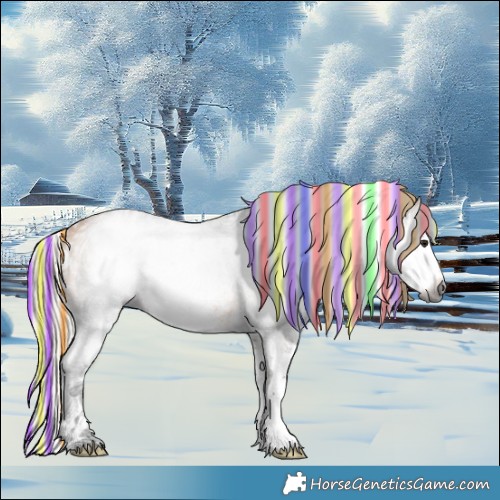 Horse Color:Gray Painted White Spotted Silver Buckskin Ice Splash Rabicano 