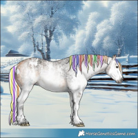 Horse Color:Gray Painted White Spotted Silver Buckskin Ice Splash Rabicano 