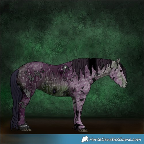 Horse Color:ERROR: UNKNOWN ANOMALY