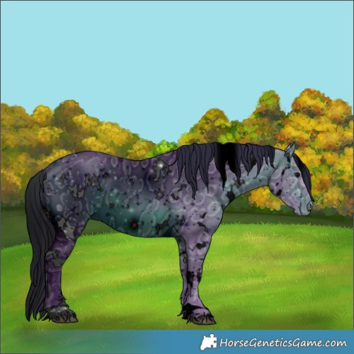 Horse Color:ERROR: UNKNOWN ANOMALY