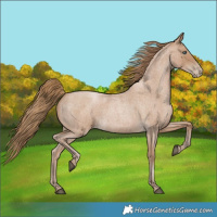 Horse Color:Blue Roan Pearl 