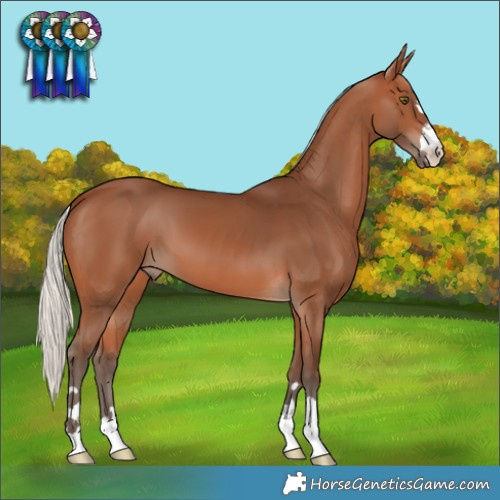 Horse Color:Silver Brown 