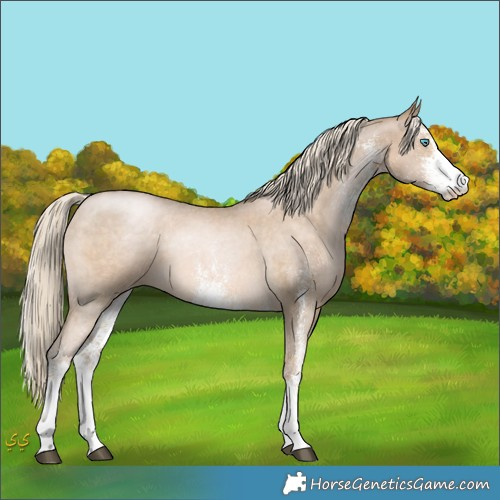 Horse Color:White Spotted Chocolate Palomino Pearl Mushroom 