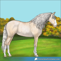 Horse Color:Chocolate Silver Smoky Grullo Pearl Brindle 