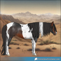 Horse Color:Bay Tobiano 