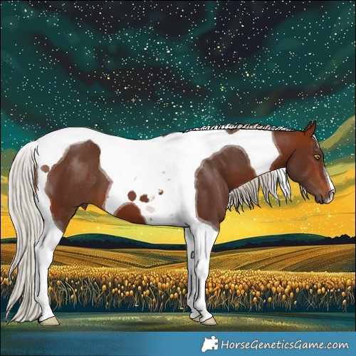 Horse Color:Silver Bay Tobiano
