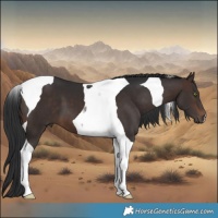 Horse Color:Brown Tobiano 