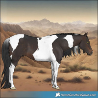 Horse Color:Brown Tobiano 