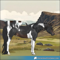 Horse Color:Brown Tobiano