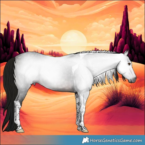 Horse Color:Gray Bay Tobiano