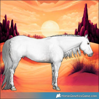 Horse Color:Gray Bay Tobiano 