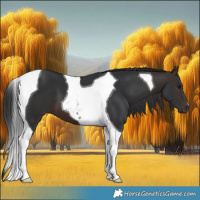 Horse Color:Brown Tobiano 