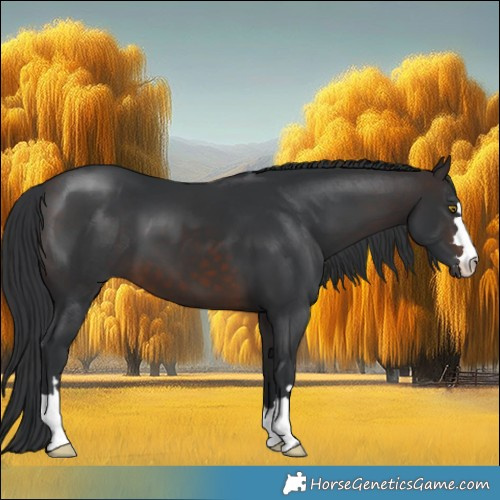 Horse Color:Brown 