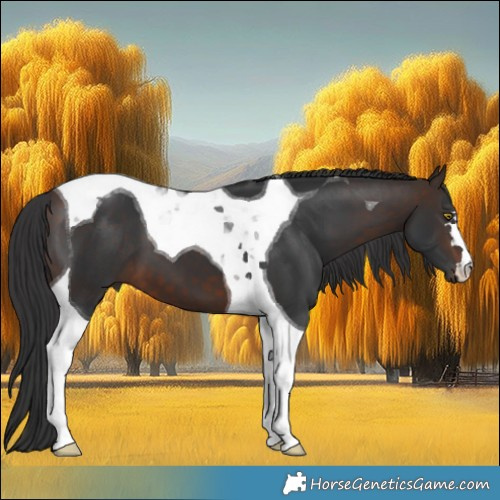 Horse Color:Bay Tobiano 