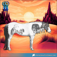 Horse Color:Brown Sabino Tobiano