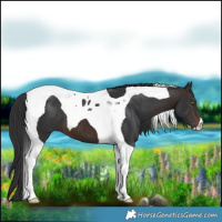 Horse Color:Brown Tobiano 