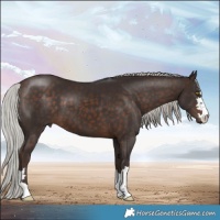 Horse Color:Silver Brown