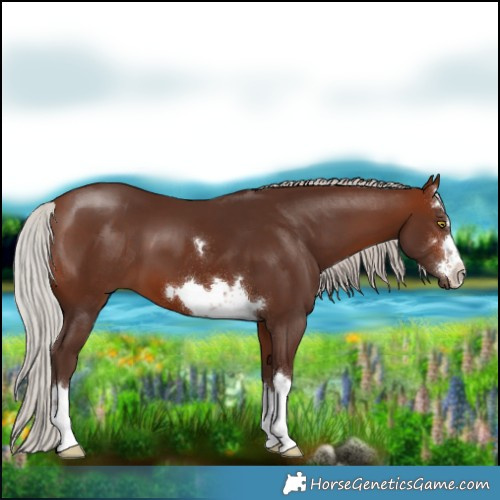 Horse Color:Silver Brown 