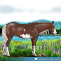 Horse Color:Silver Brown 