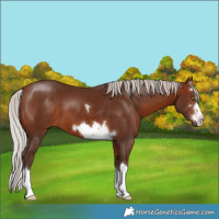 Horse Color:Silver Brown