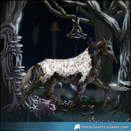 Horse Color:Brown Dun Appaloosa  and Bay Dun Appaloosa 